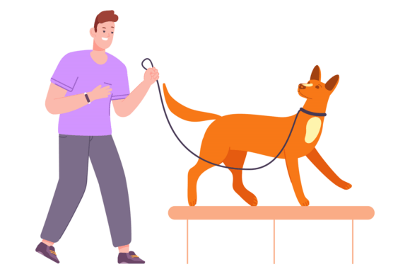 Active Pet Training Dog Park Design Review